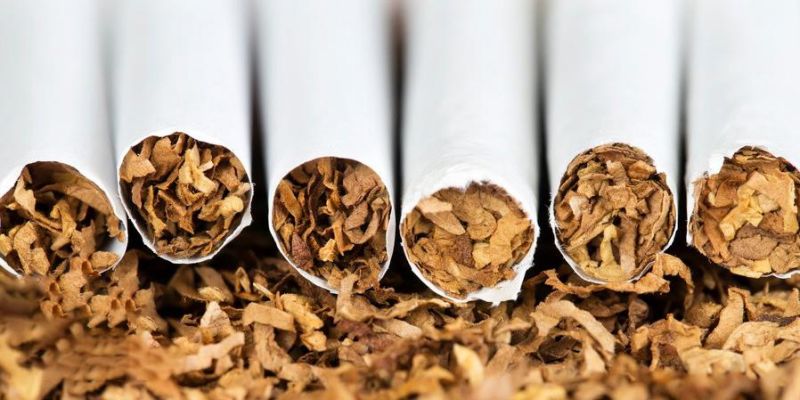 snijmes voor tabaksbladeren (2)